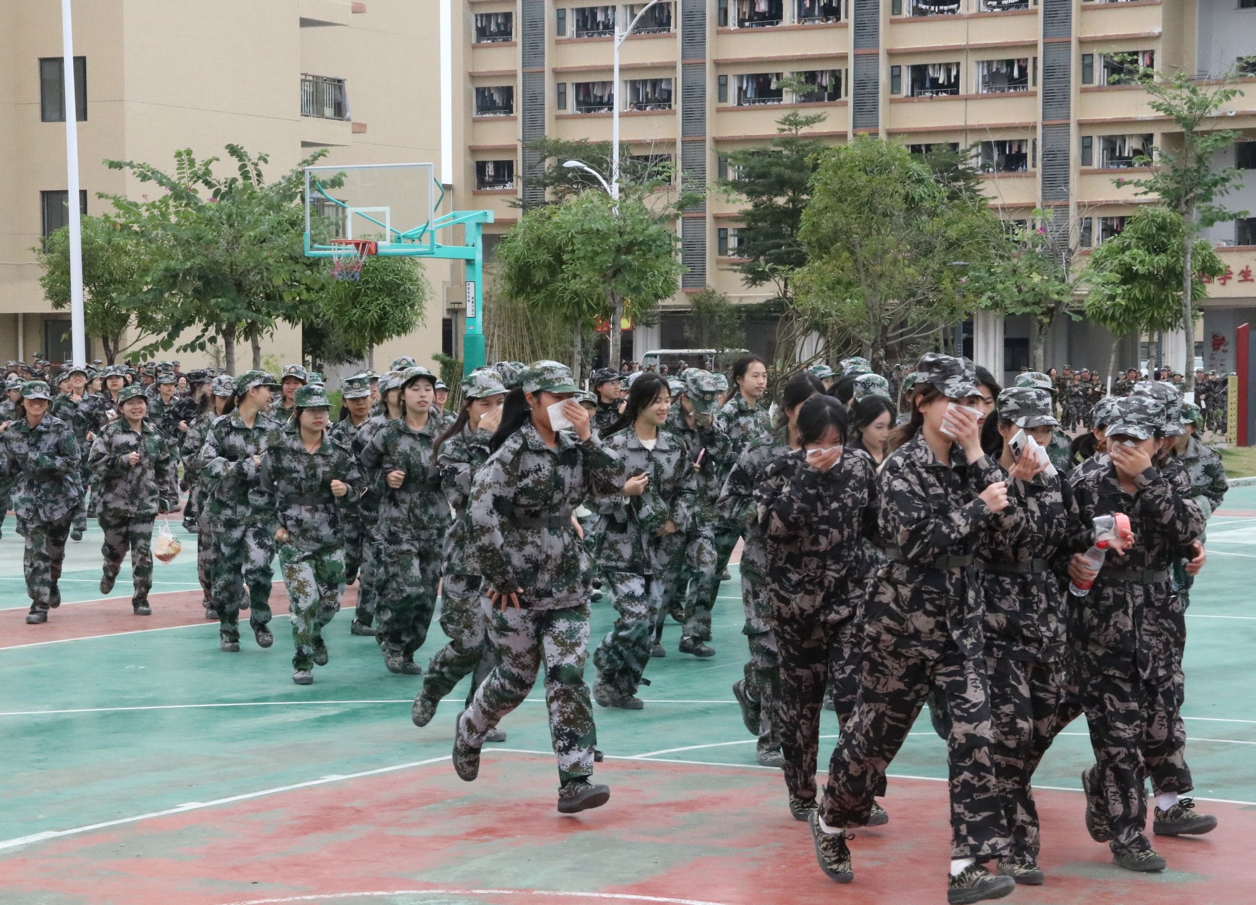 202312131805456052.jpg 202312131805456052.jpg