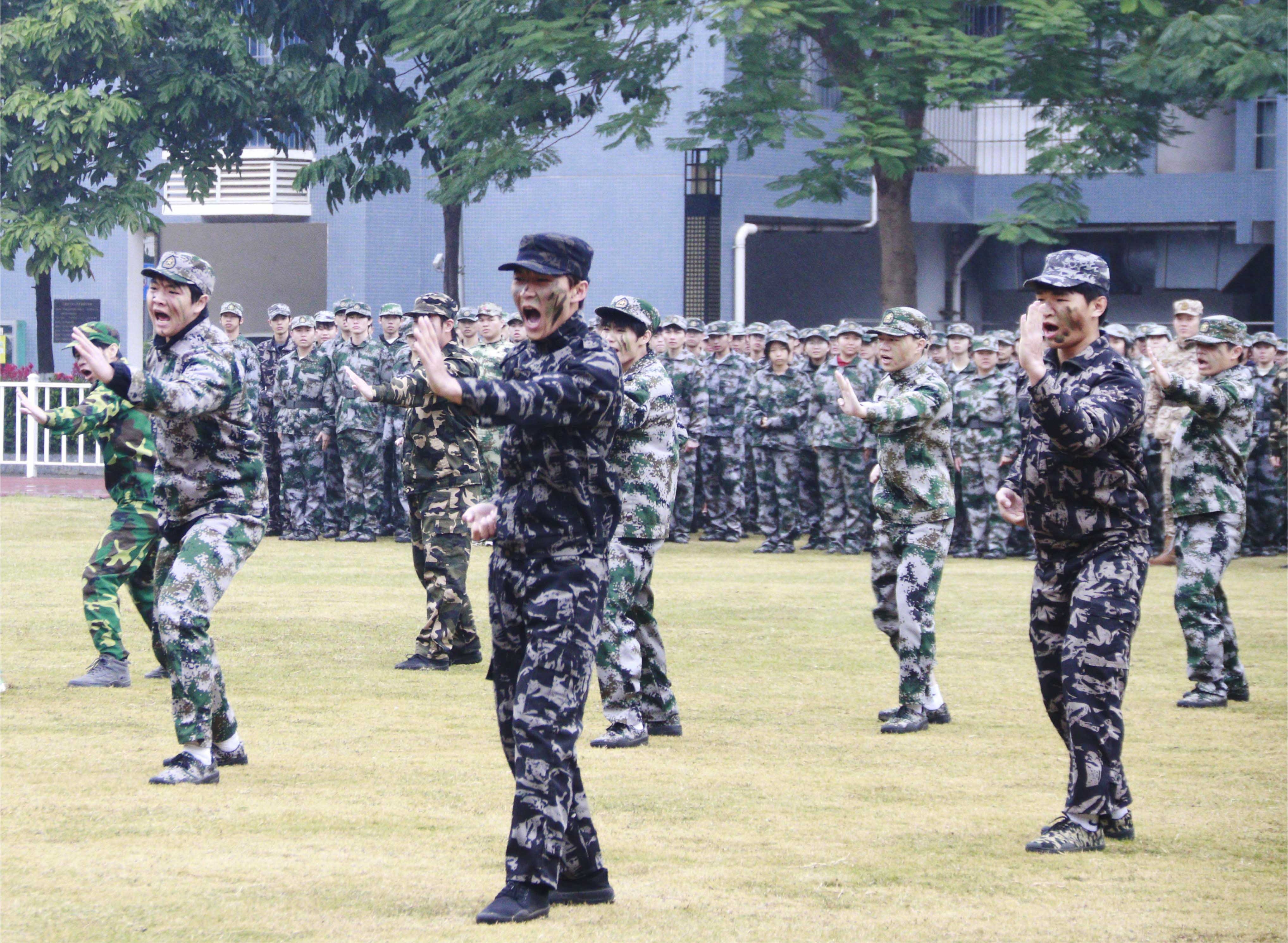 202312191207109808.jpg 202312191207109808.jpg